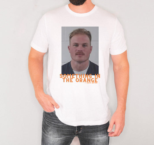 Something in the orange - Zac bryan mugshot